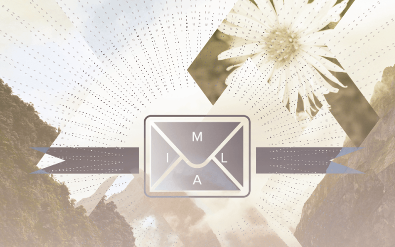 Why should I have a newsletter?